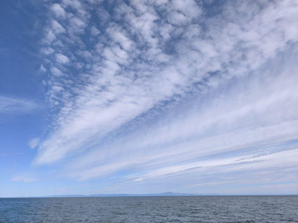 photo_2025-07-08_08-30-15