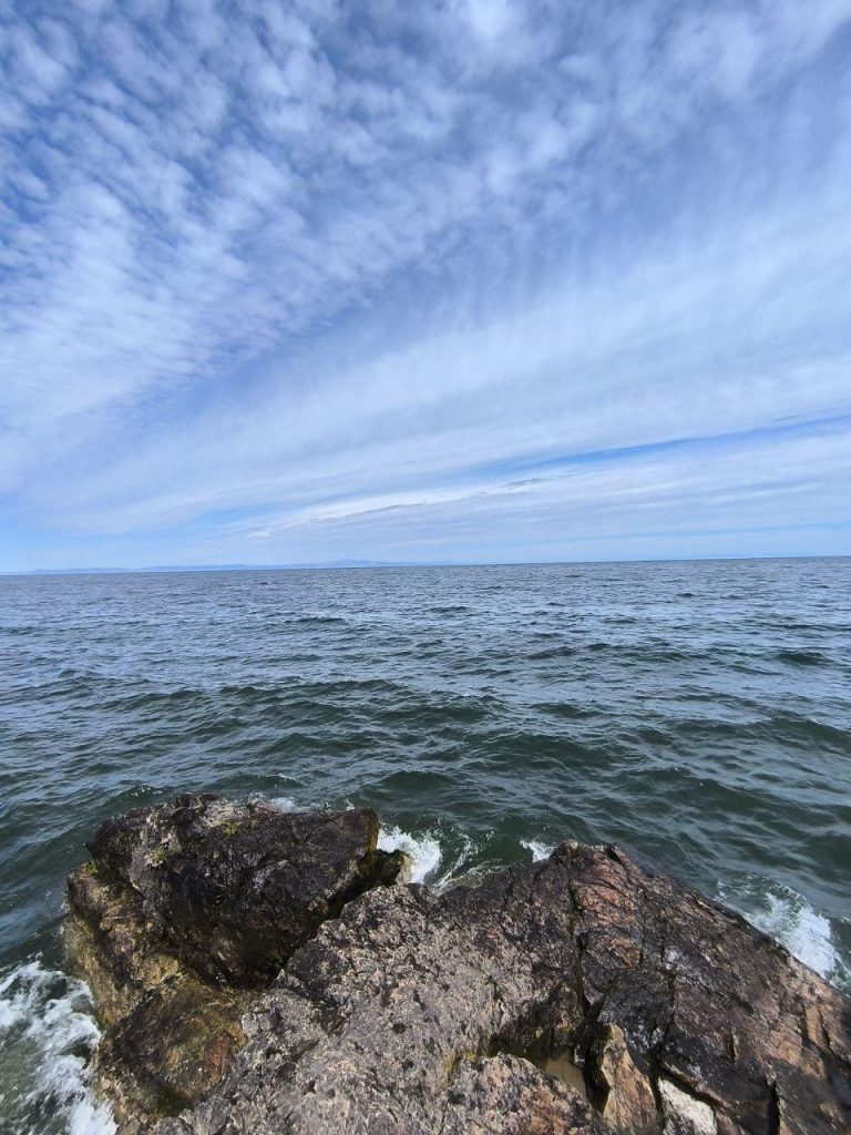 photo_2025-07-08_08-31-11