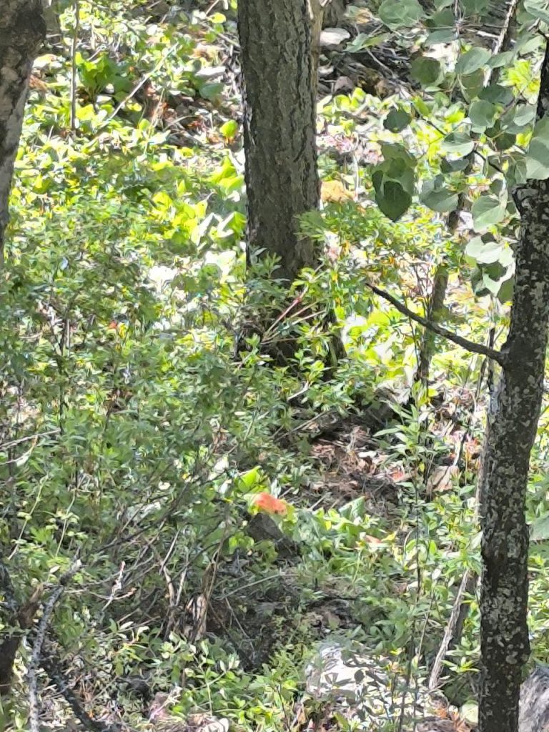 photo_2025-07-08_08-31-32