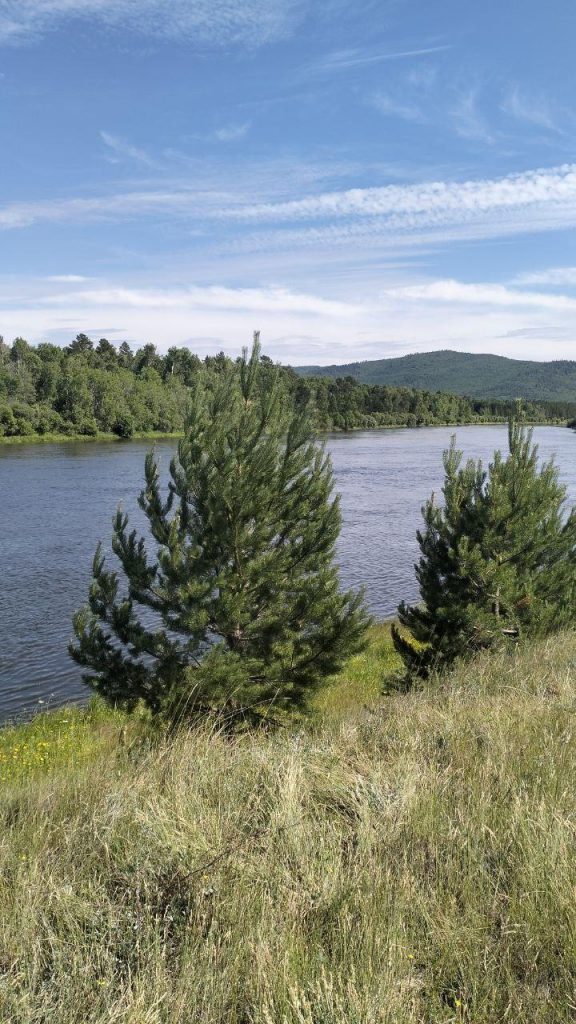 photo_2025-07-08_10-59-47