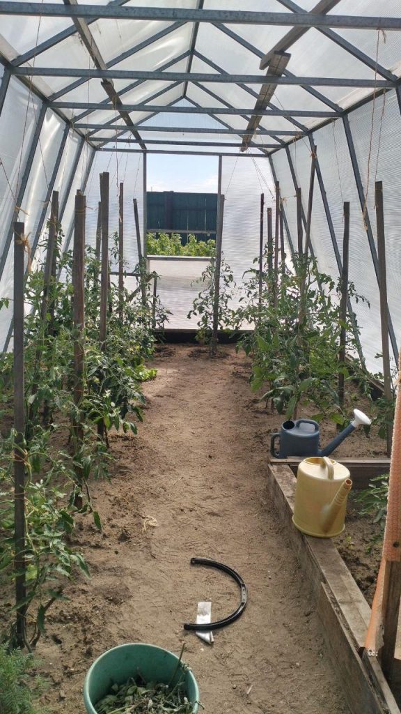 photo_2025-07-08_11-00-10