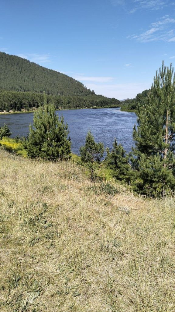 photo_2025-07-08_11-00-19