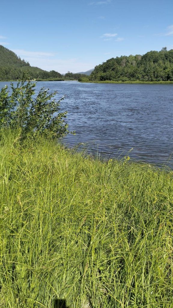 photo_2025-07-08_11-00-25