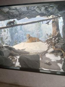 Museum 1