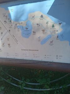 Schautafel
