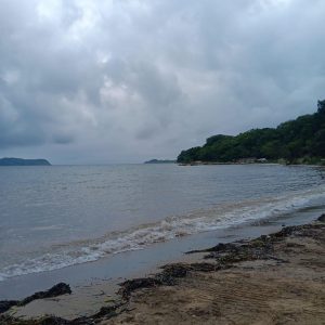 verschiedene Buchten 3