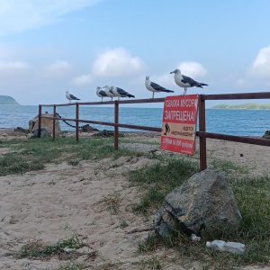 verschiedene Buchten 4