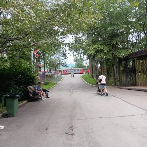 Die Bahn schillert durch den Park