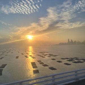 die Zuchtanlagen der Meeresfrüchte