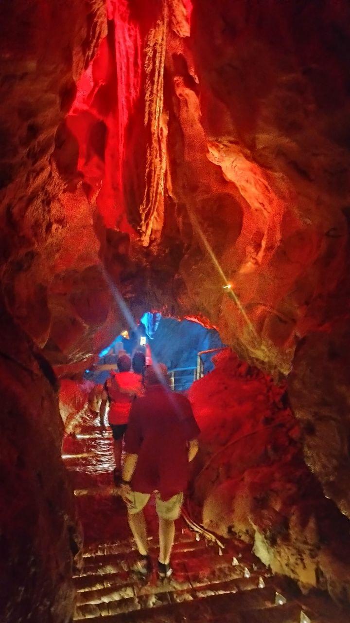 photo_2025-11-23_15-45-28