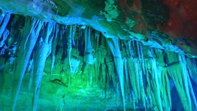 photo_2025-11-23_15-45-33