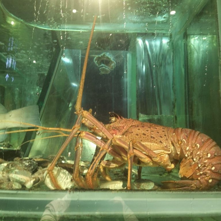 photo_2025-11-24_12-04-48