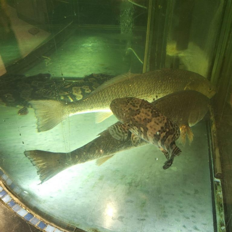 photo_2025-11-24_12-04-57