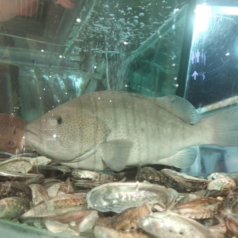 photo_2025-11-24_12-05-01