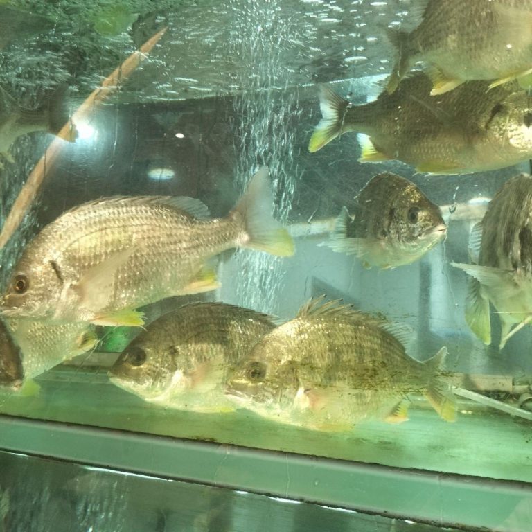 photo_2025-11-24_12-05-05