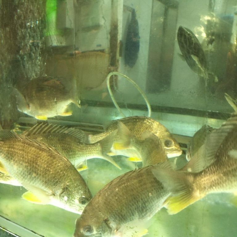 photo_2025-11-24_12-05-10