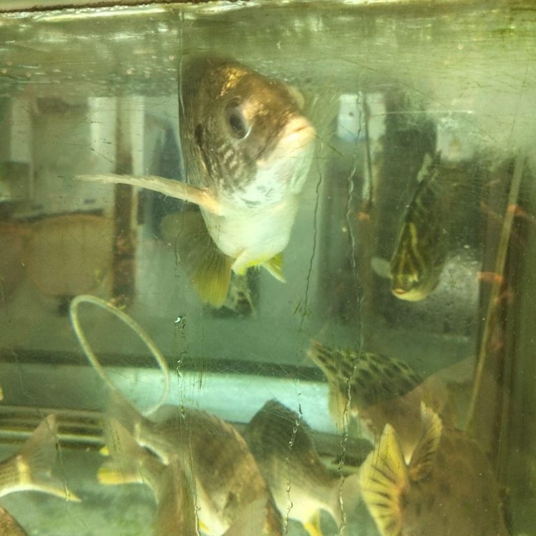 photo_2025-11-24_12-05-15