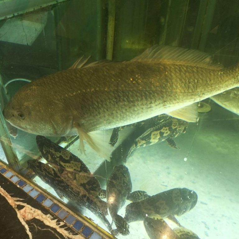 photo_2025-11-24_12-05-20