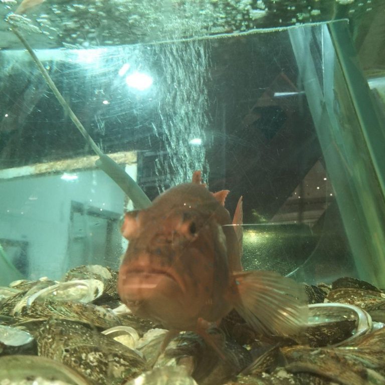 photo_2025-11-24_12-05-24