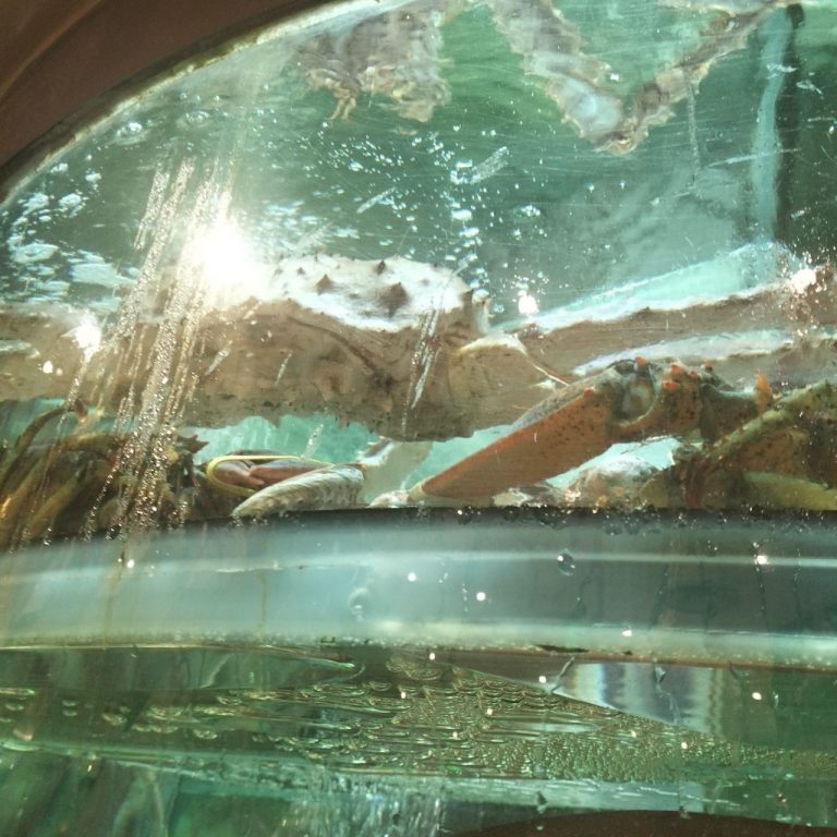 photo_2025-11-24_12-05-28