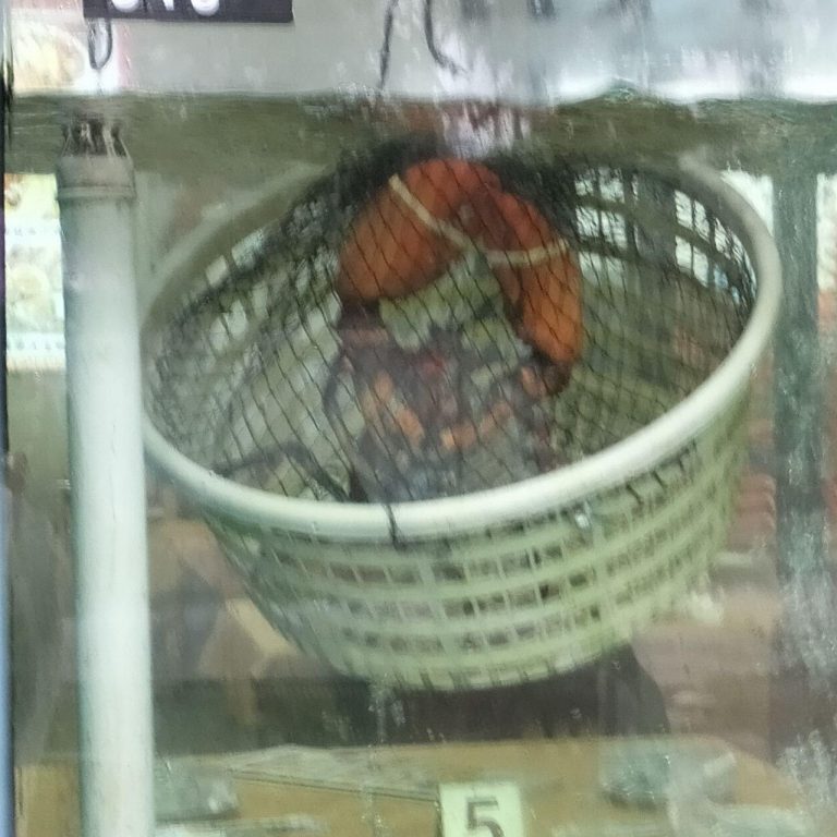 photo_2025-11-25_13-28-15