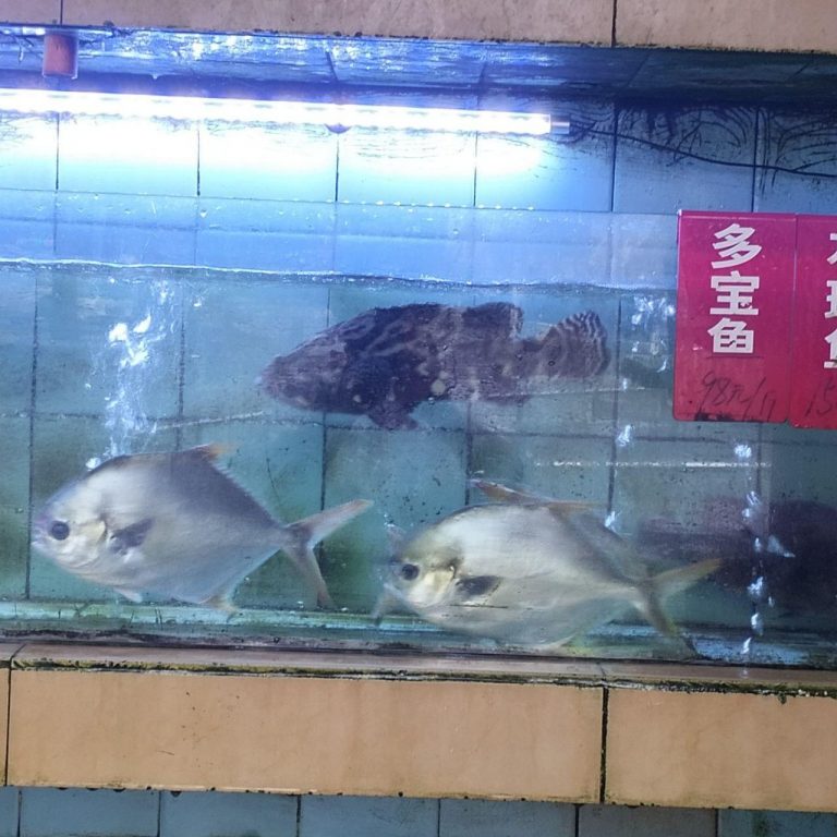 photo_2025-11-25_13-28-27