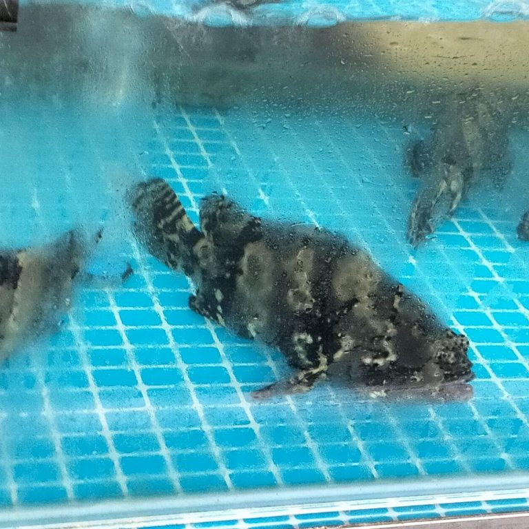 photo_2025-11-25_13-28-33