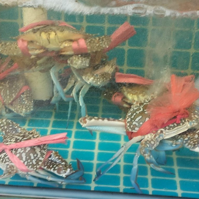 photo_2025-11-25_13-28-40