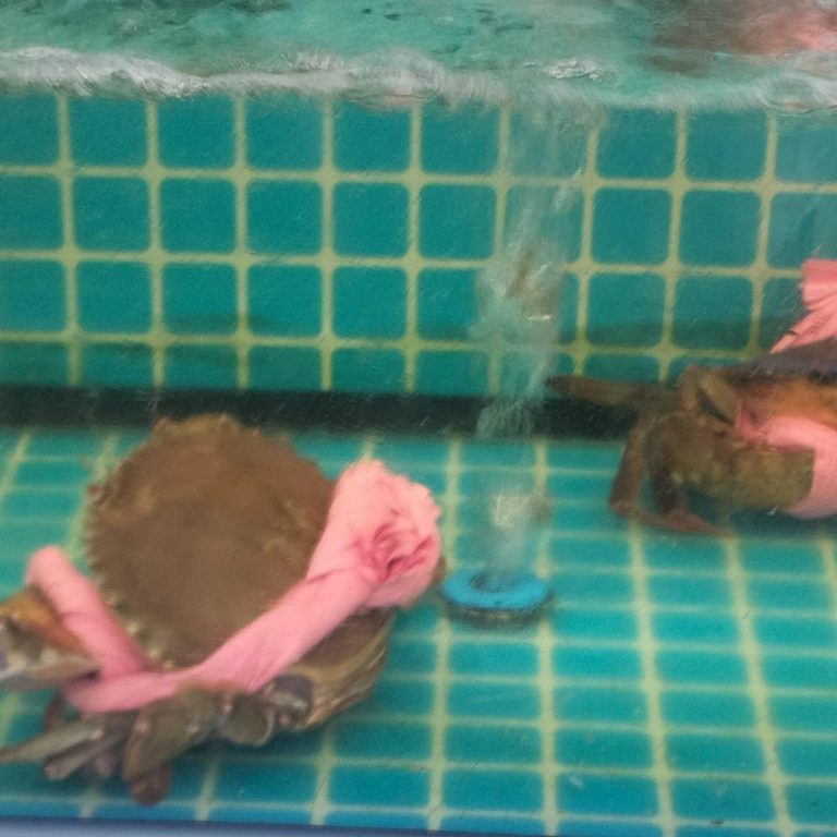 photo_2025-11-25_13-28-46