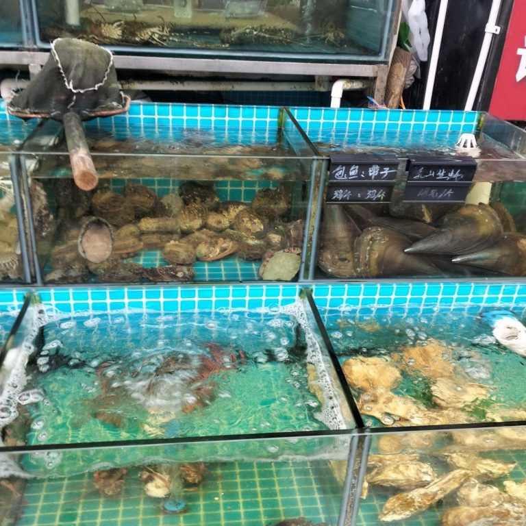 photo_2025-11-25_13-28-52