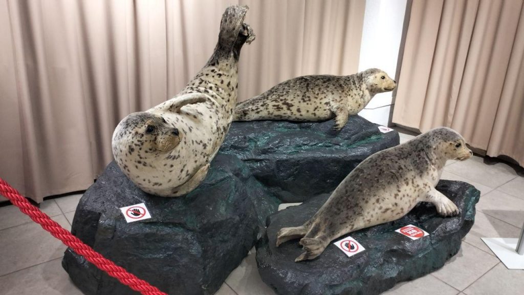 photo_2025-12-08_21-29-39