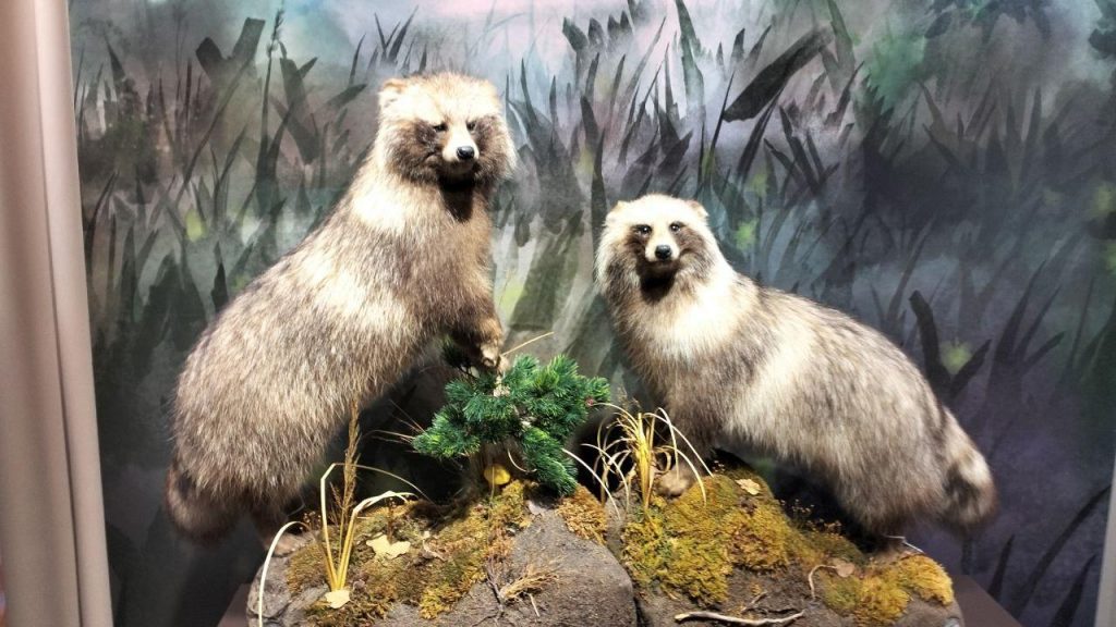 photo_2025-12-08_21-29-55