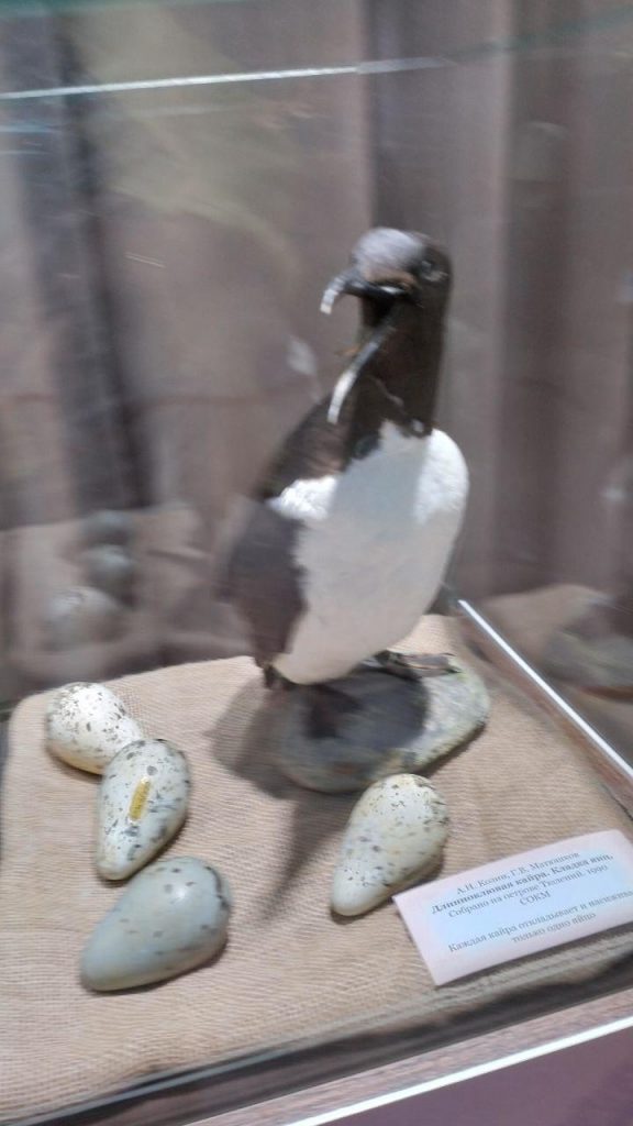 photo_2025-12-08_21-30-00