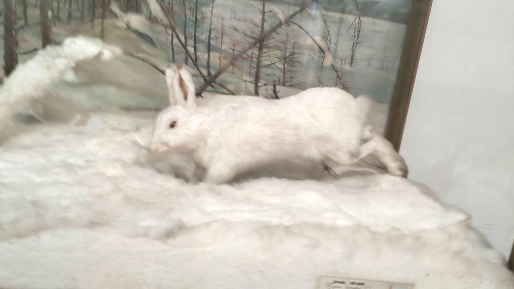 photo_2025-12-08_21-30-09