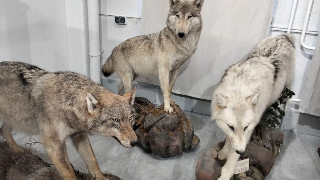 photo_2025-12-08_21-30-14