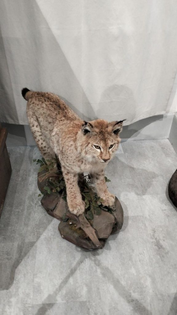 photo_2025-12-08_21-30-23