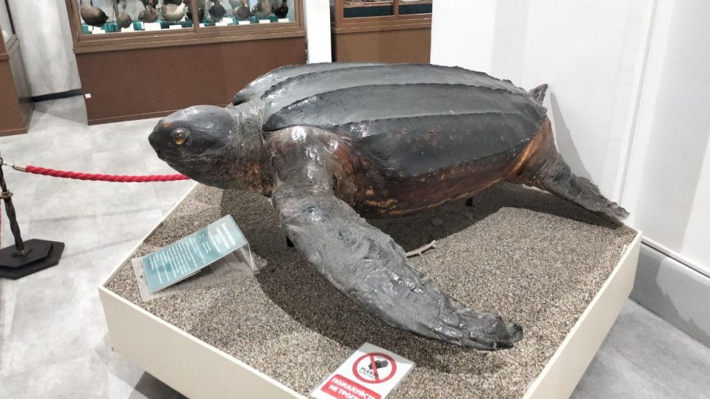 photo_2025-12-08_21-30-27