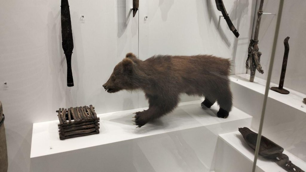 photo_2025-12-08_21-30-39