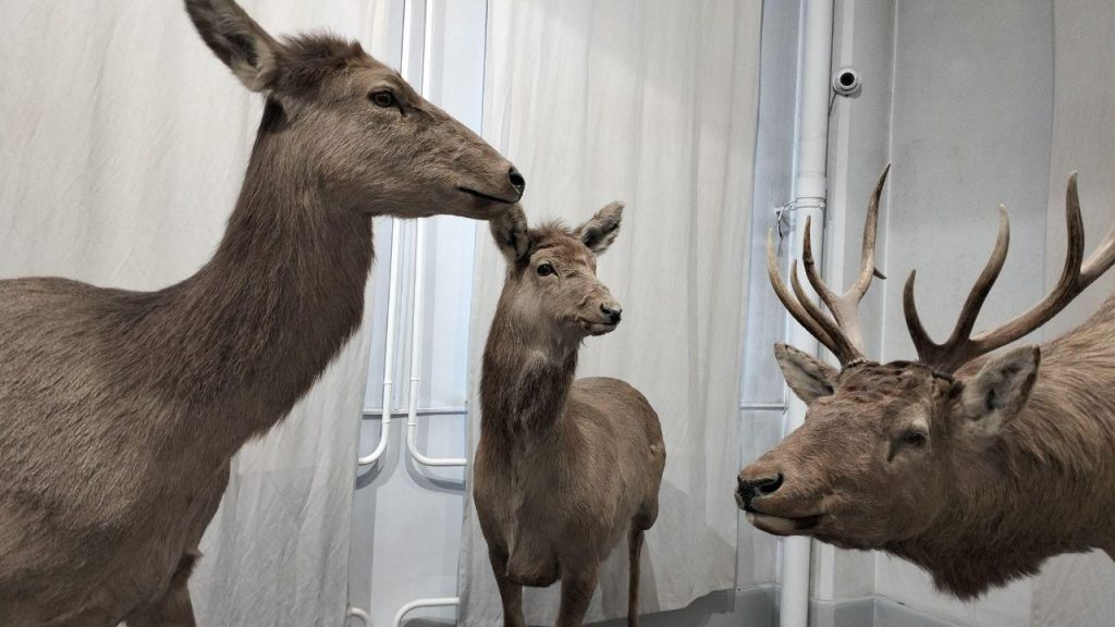 photo_2025-12-08_21-30-46