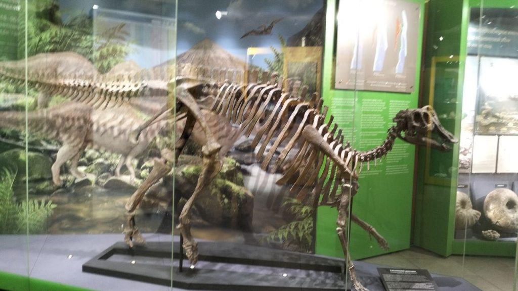 photo_2025-12-08_21-30-50