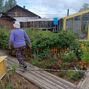 Blick in Ludmillas Garten