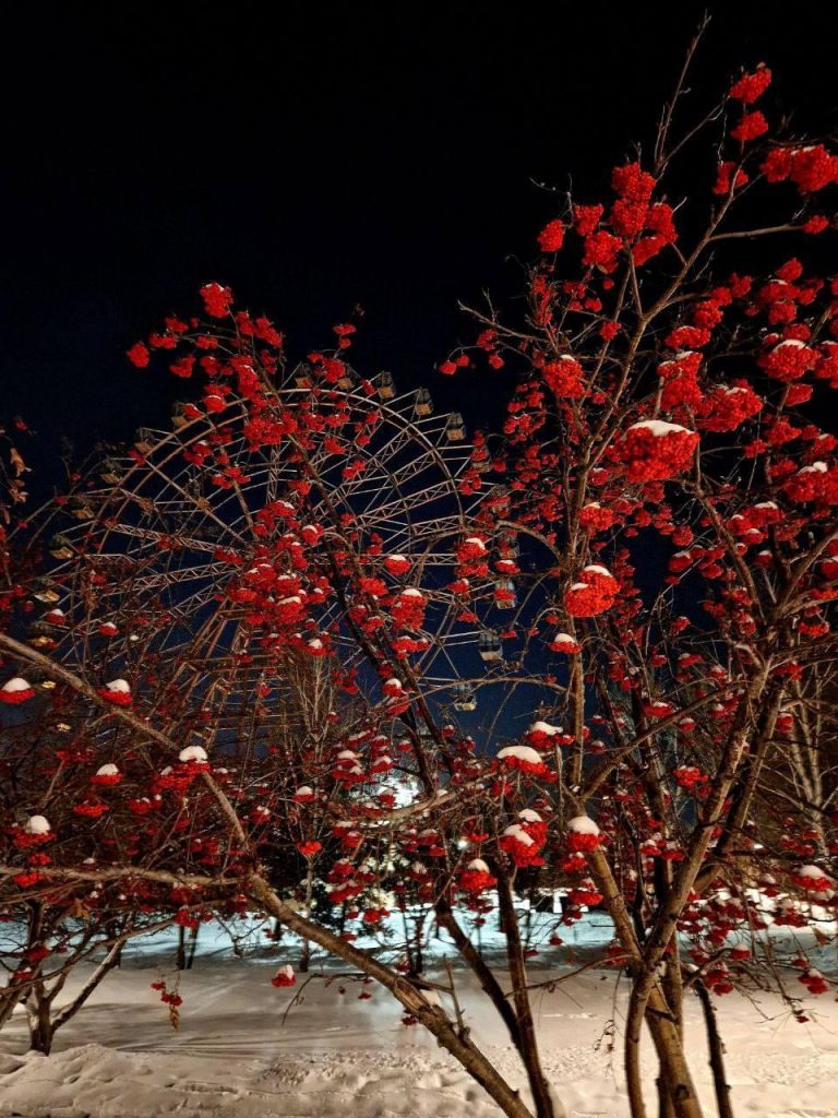 photo_2025-12-12_12-59-46