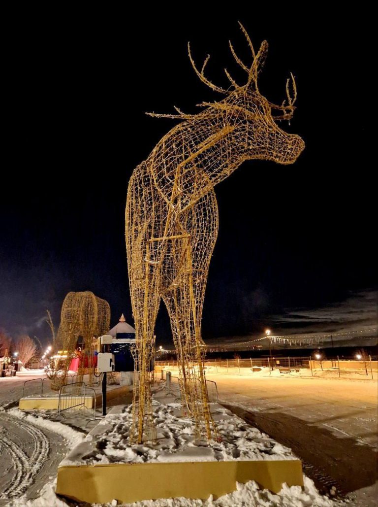 photo_2025-12-12_13-00-10