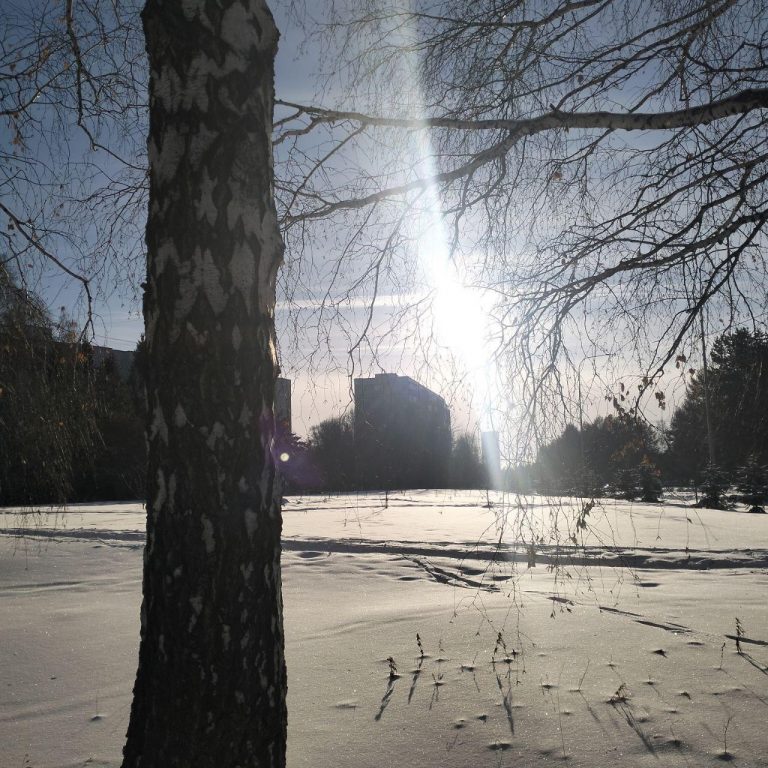 Sonne über dem Stausee des Ob