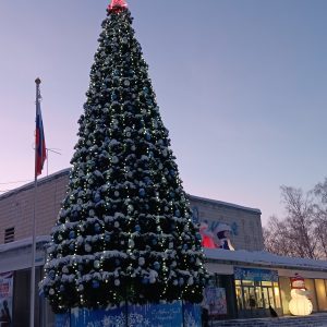 überall schon länger Neujahrstannen