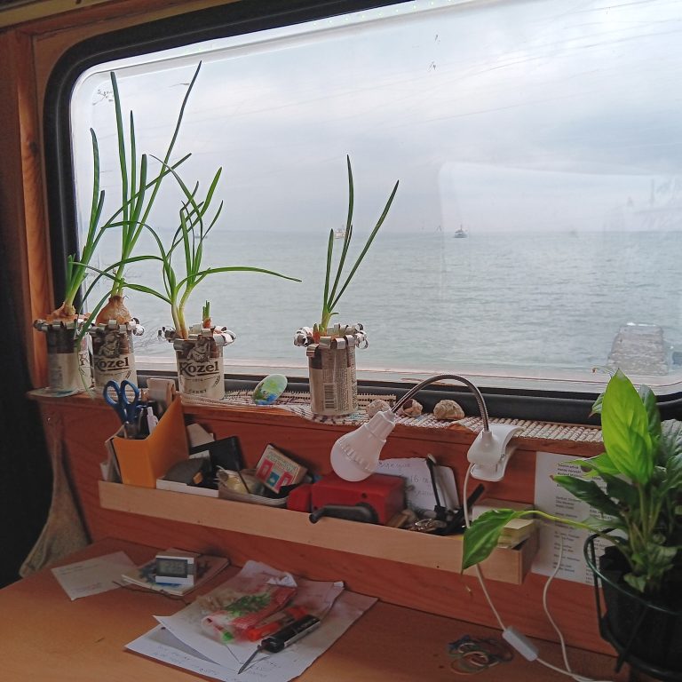 Der Schreibtisch wird begrünt