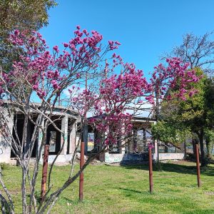 und dazu passt es wunderbar