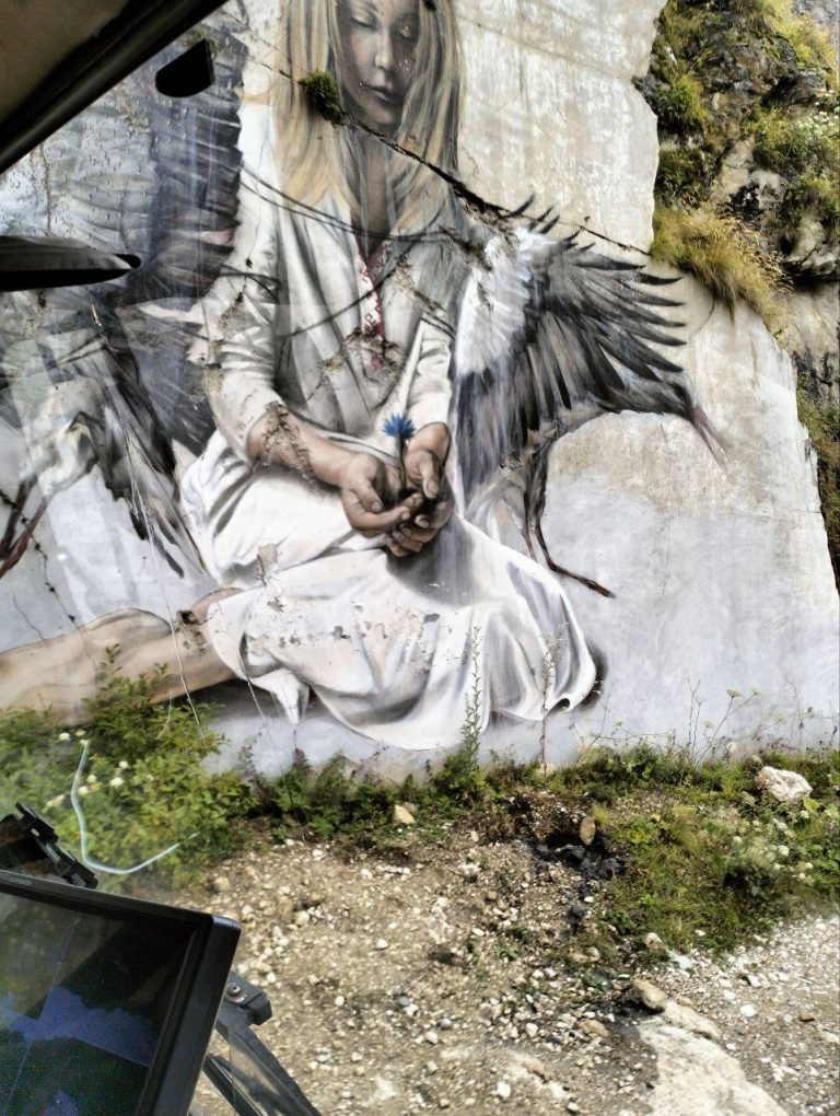 photo_2025-01-12_14-41-03