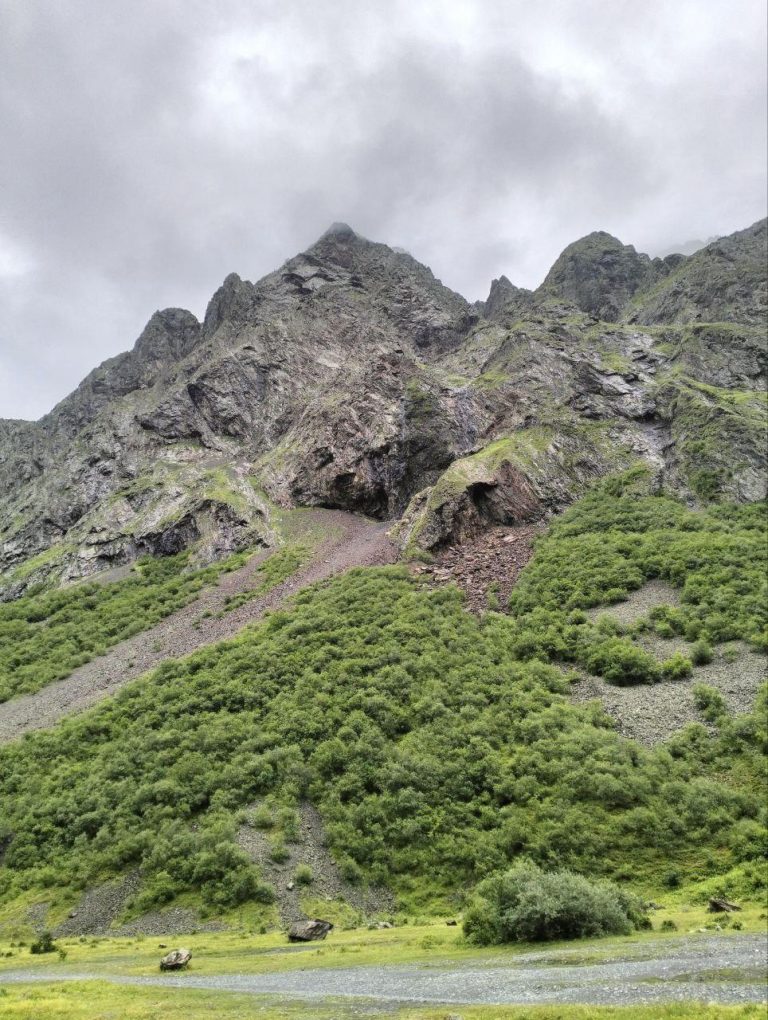 photo_2025-01-12_14-41-24